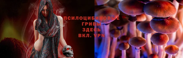экстази Киреевск