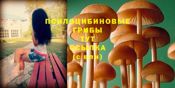 экстази Киреевск