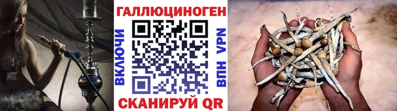 Галлюциногенные грибы мухоморы  Костерёво 